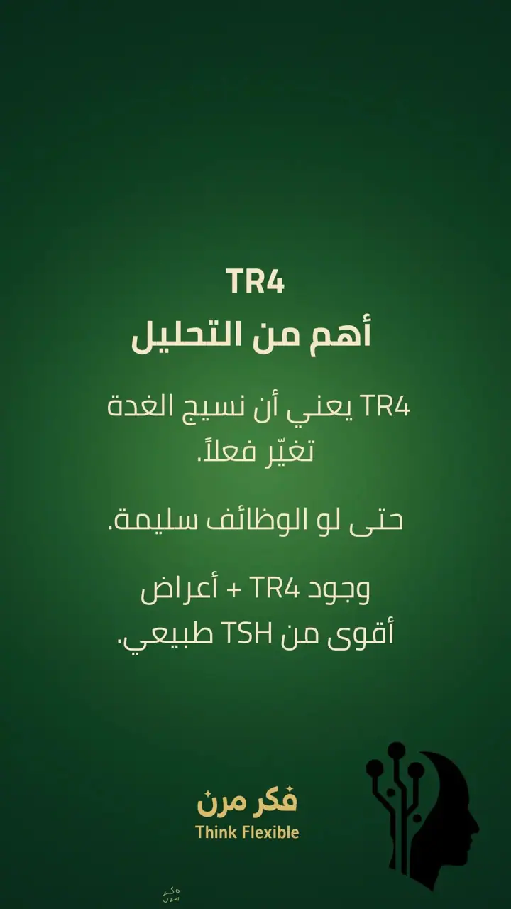 الشريحة 6 من 11: الحلقة الفاصلة للغدة