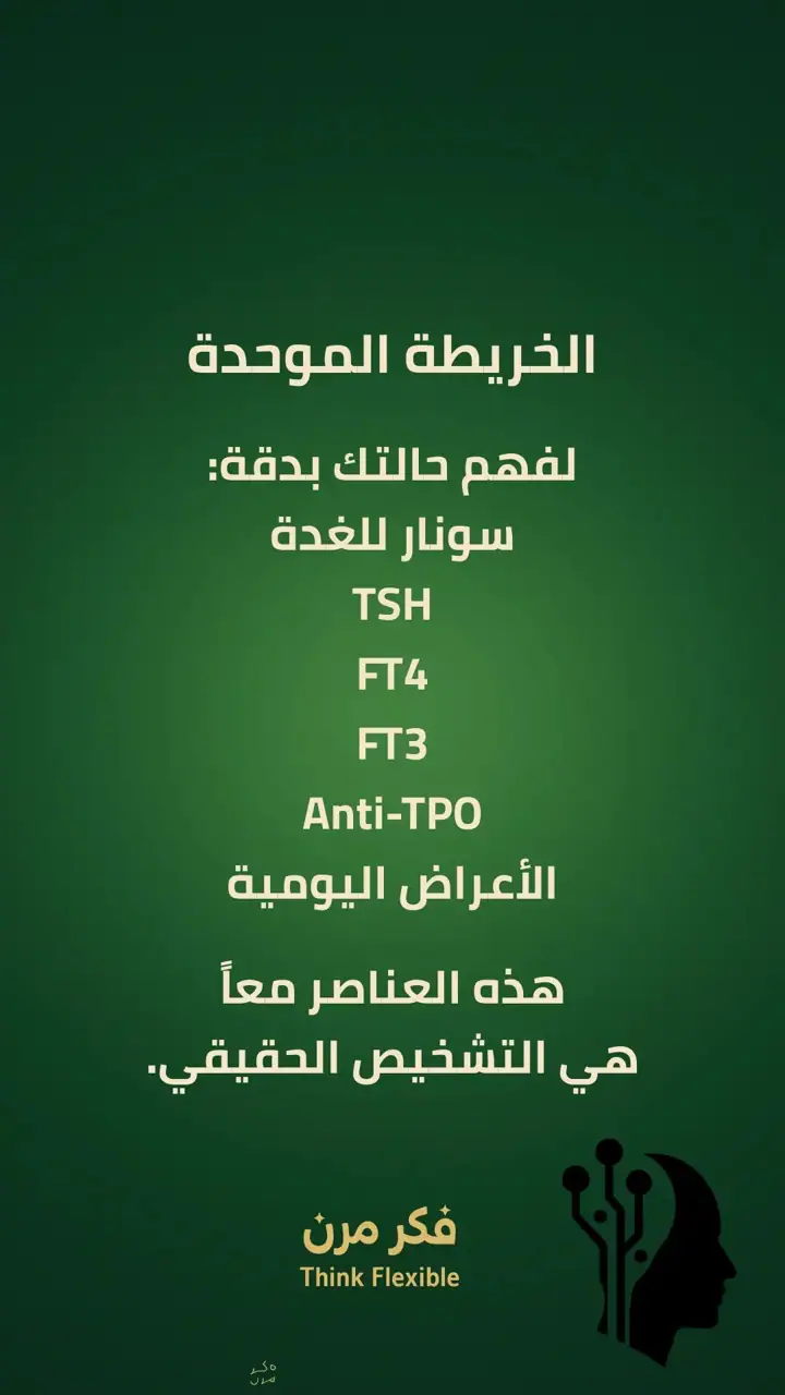الشريحة 9 من 11: الحلقة الفاصلة للغدة