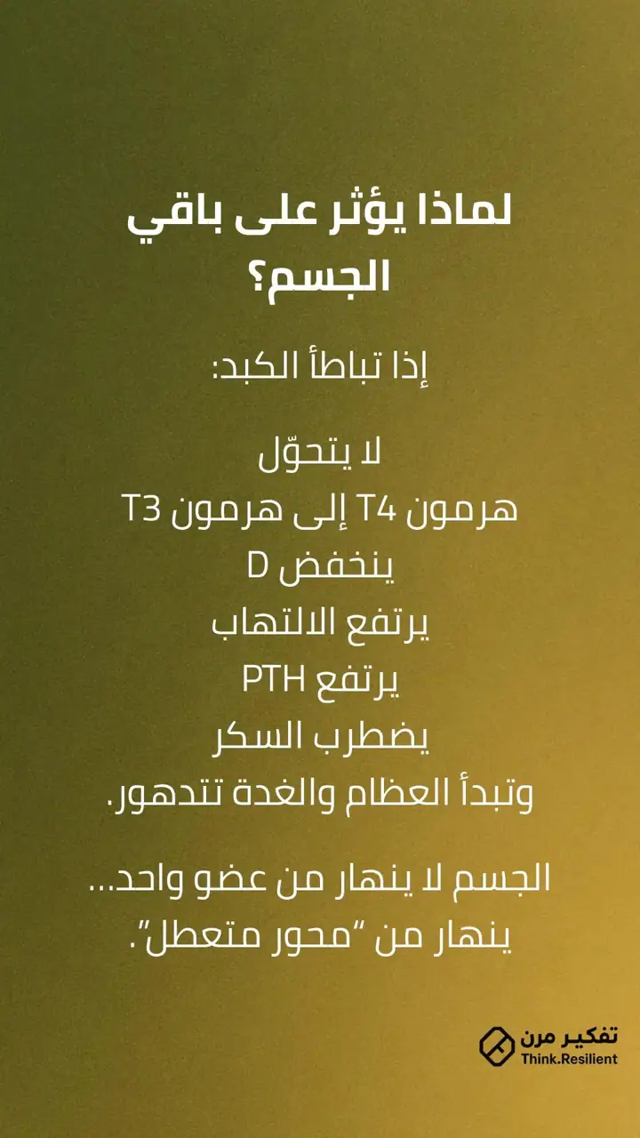 الشريحة 4 من 7: الكبد ليس عضوًا جانبيًا