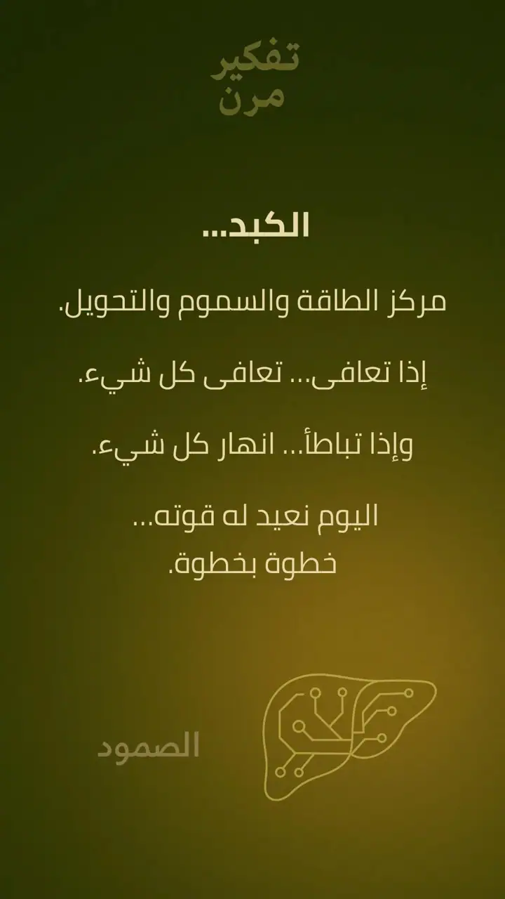 الشريحة 1 من 15: الكبد – الصمود