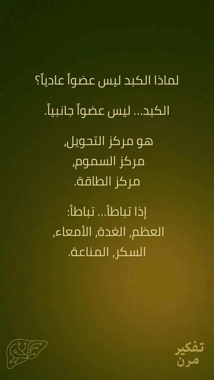 الشريحة 3 من 15: الكبد – الصمود