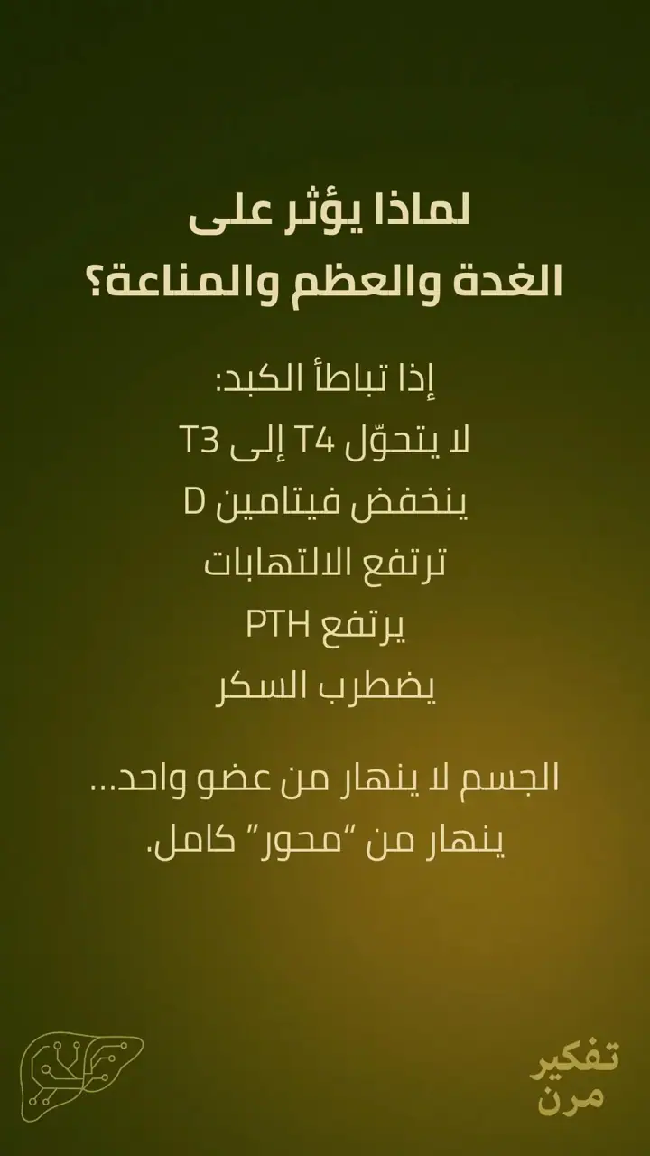 الشريحة 6 من 15: الكبد – الصمود