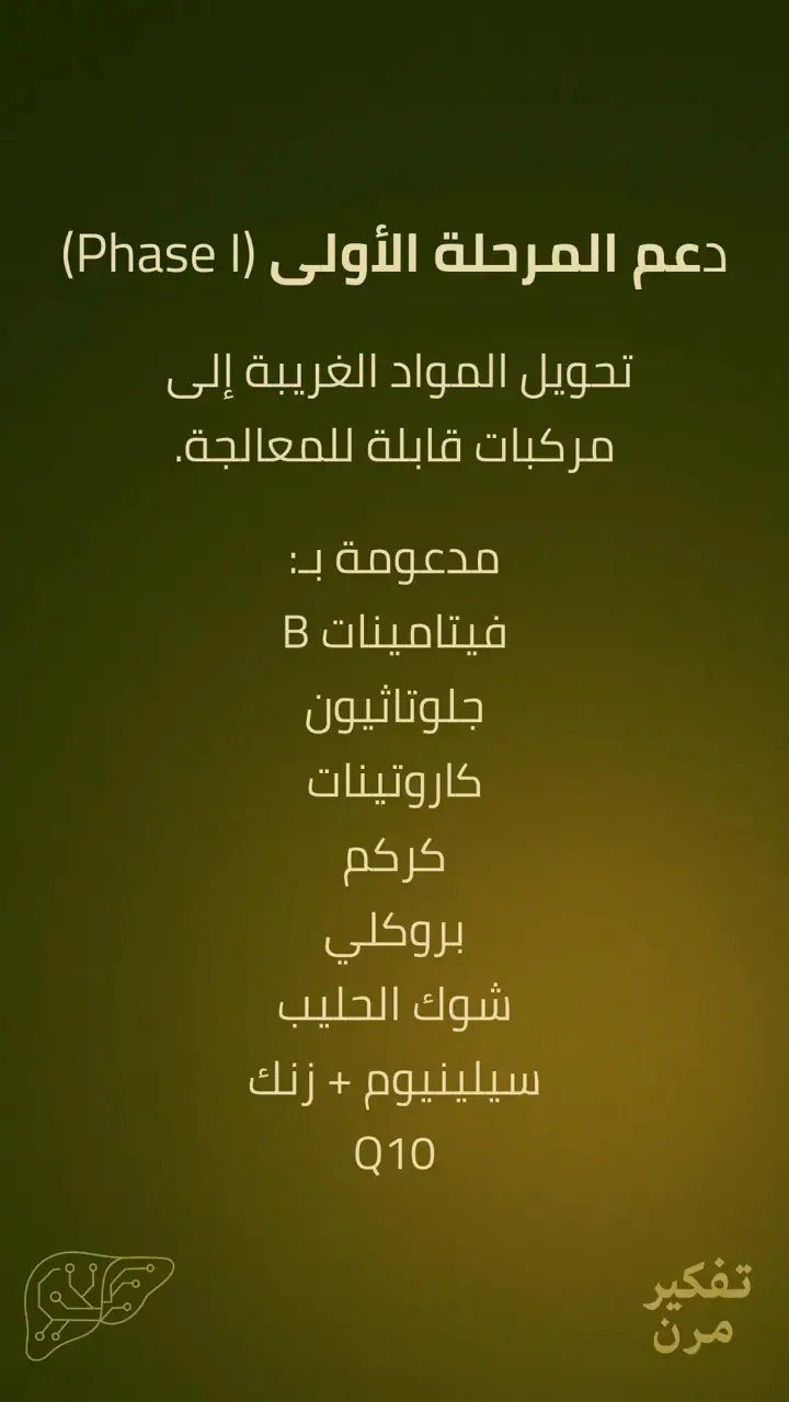 الشريحة 8 من 15: الكبد – الصمود