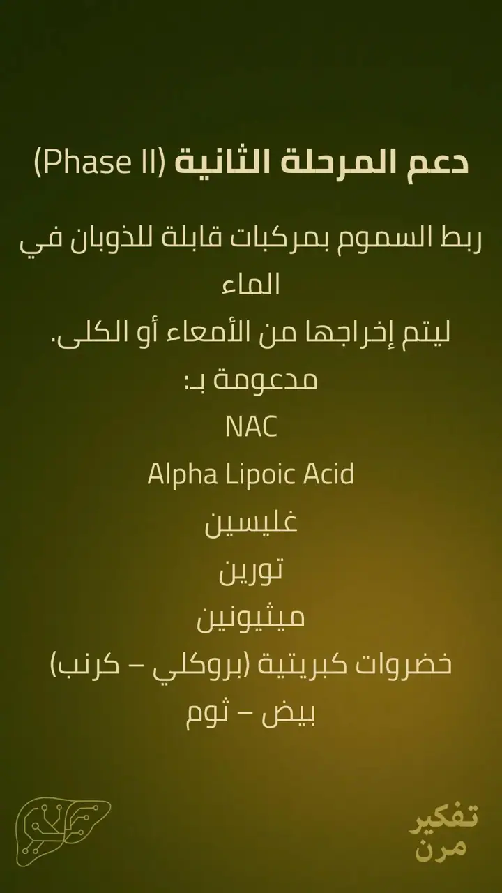 الشريحة 9 من 15: الكبد – الصمود
