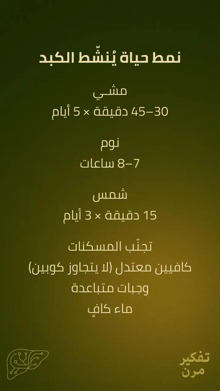 الشريحة 12 من 15: الكبد – الصمود