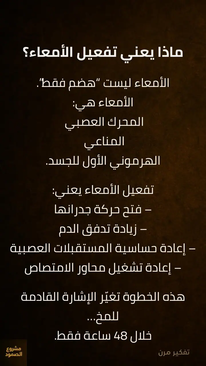 الشريحة 4 من 11: خطوة 2 — تهيئة كبد + تفعيل أمعاء