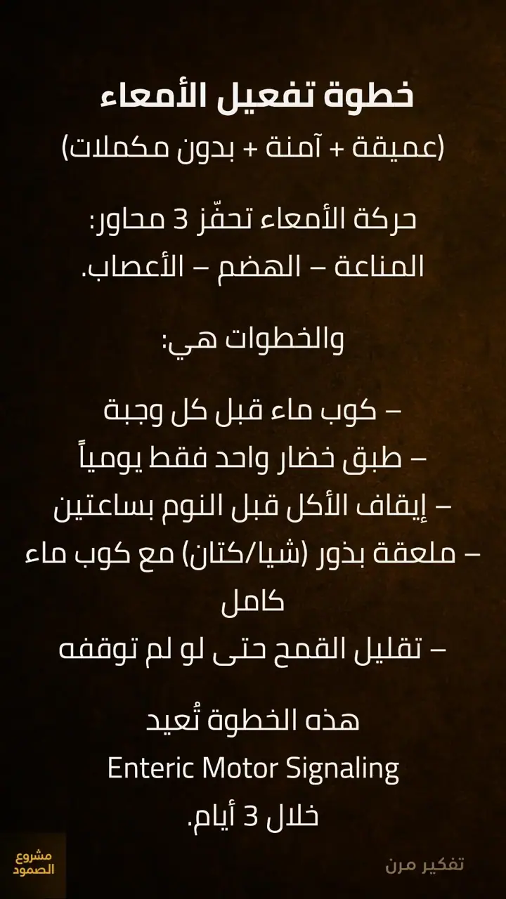 الشريحة 8 من 11: خطوة 2 — تهيئة كبد + تفعيل أمعاء
