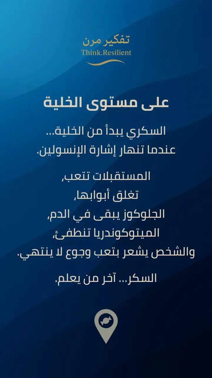 الشريحة 3 من 15: مدينة السكري