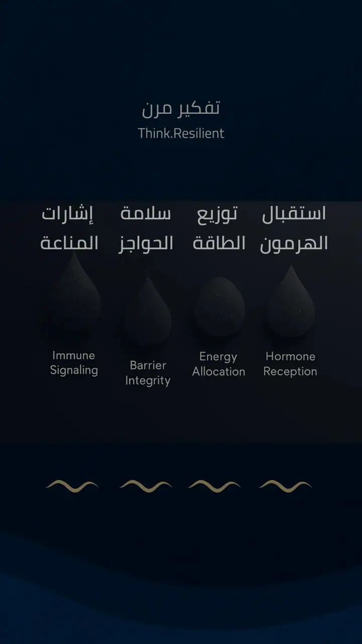 الشريحة 1 من 1: تفكير هرن