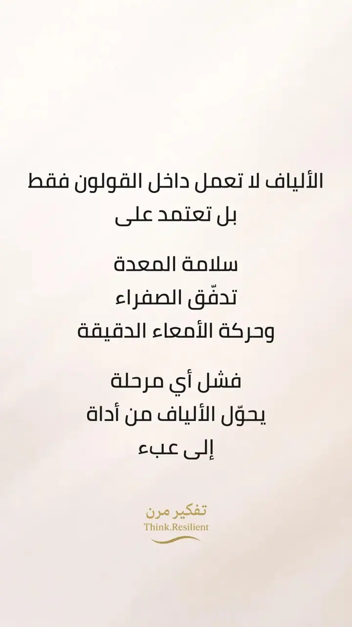 الشريحة 3 من 15: سلسلة الألياف: 4 أجزاء أساسية
