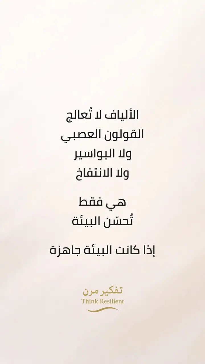الشريحة 12 من 15: سلسلة الألياف: 4 أجزاء أساسية