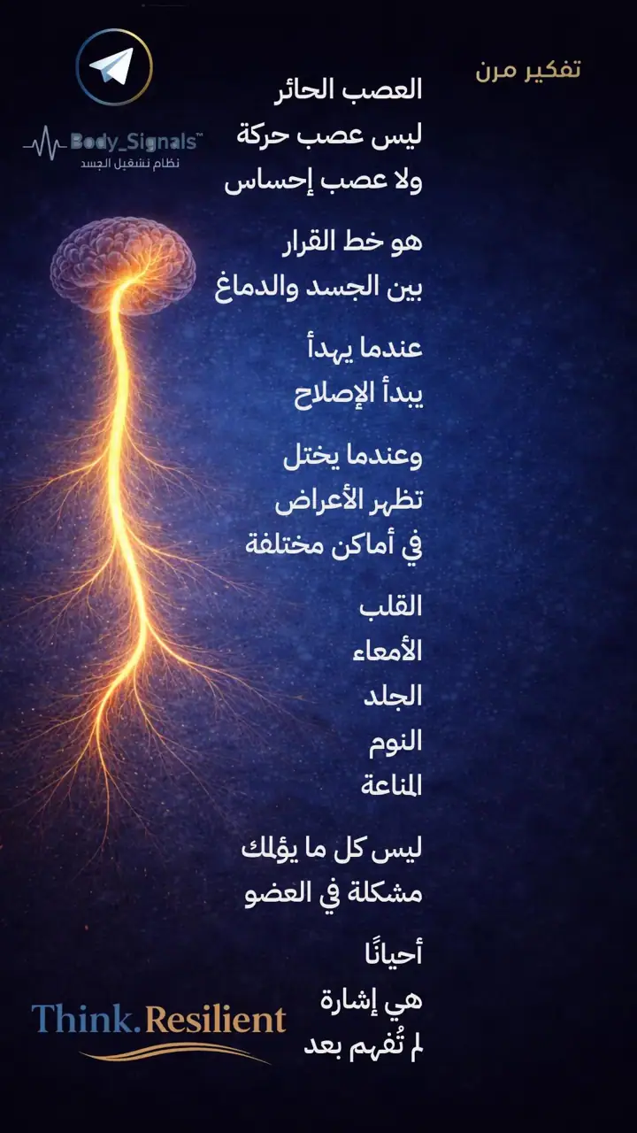الشريحة 1 من 1: العصب الحائر: خط القرار بين الجسد والدماغ