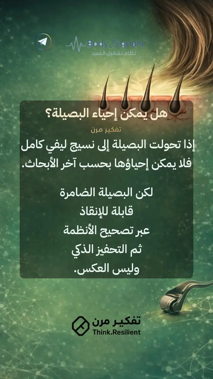 الشريحة 17 من 19: تساقط الشعر الوراثي عند النساء لا يُهزم بمنتج