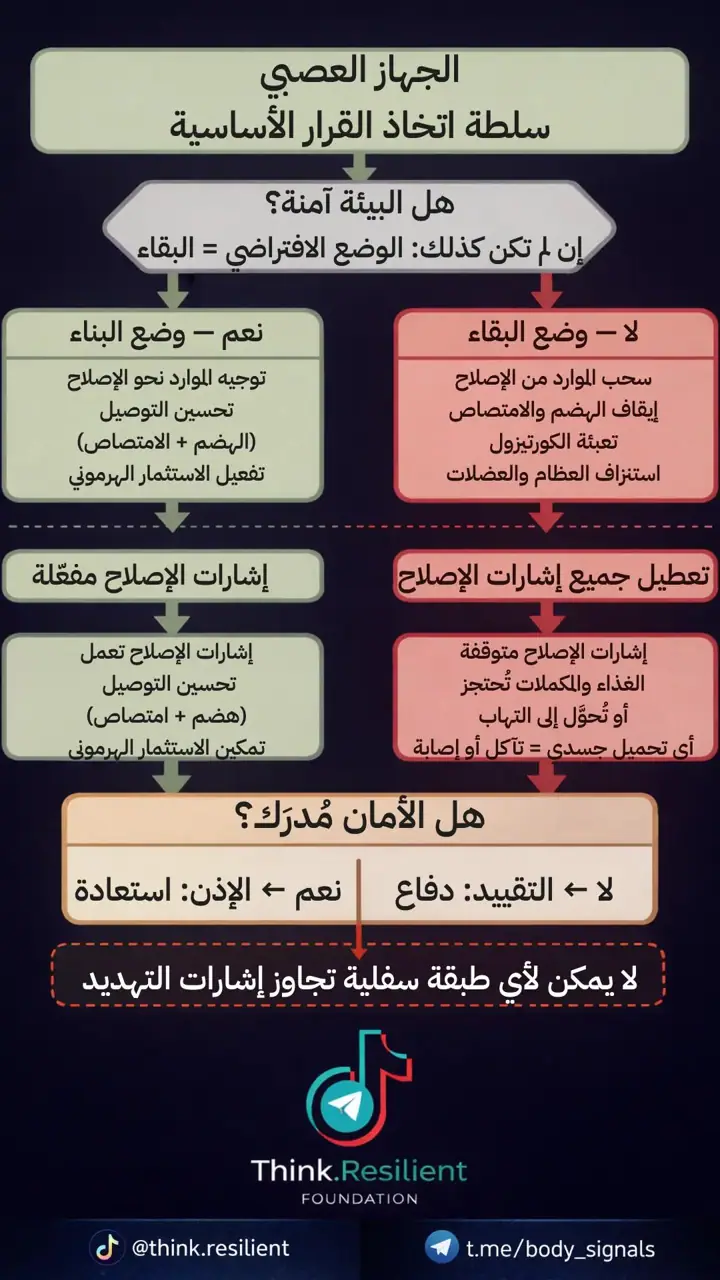 الشريحة 1 من 1: تنظيم عصبي