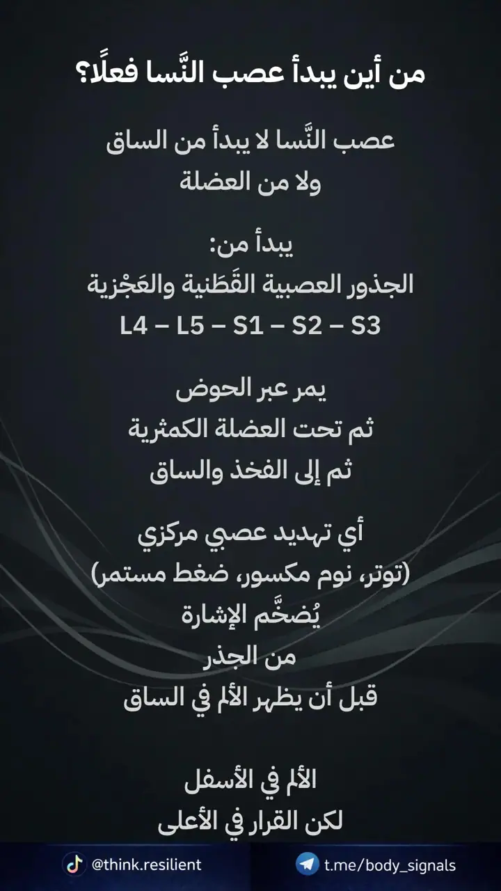 الشريحة 9 من 17: سلسلة التشغيل البيولوجي: أين يتعطل القرار؟