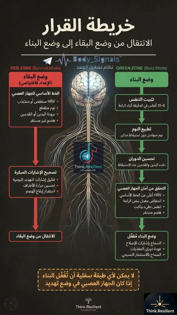 الشريحة 1 من 1: عملية الهضم لصحة العظام