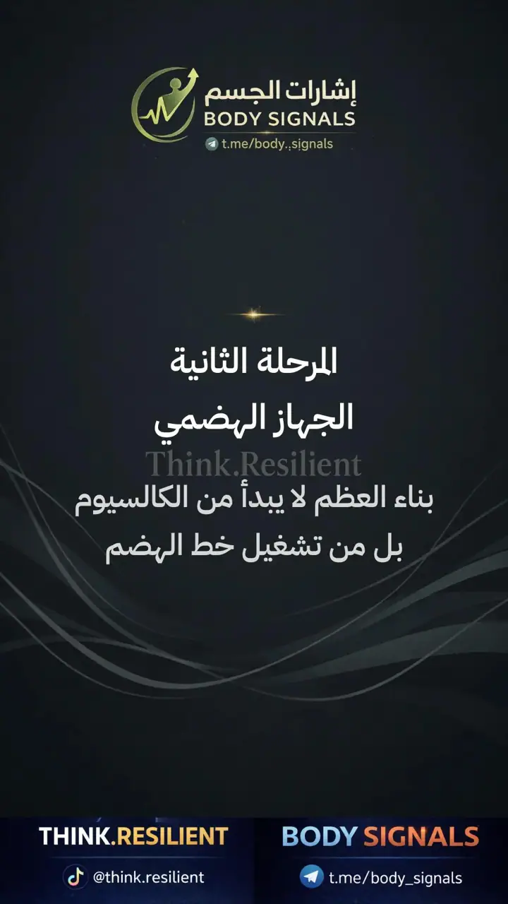 الشريحة 1 من 23: عملية الهضم لصحة العظام