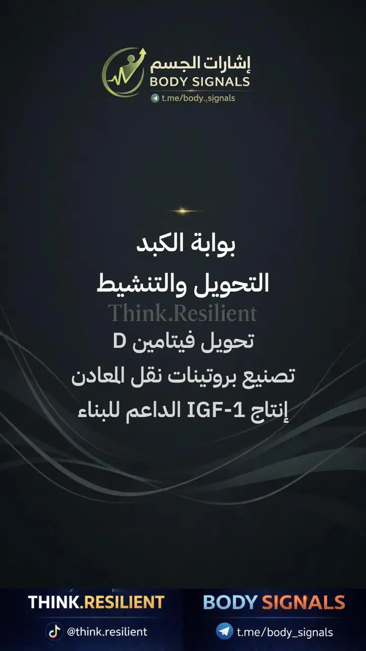 الشريحة 7 من 23: عملية الهضم لصحة العظام
