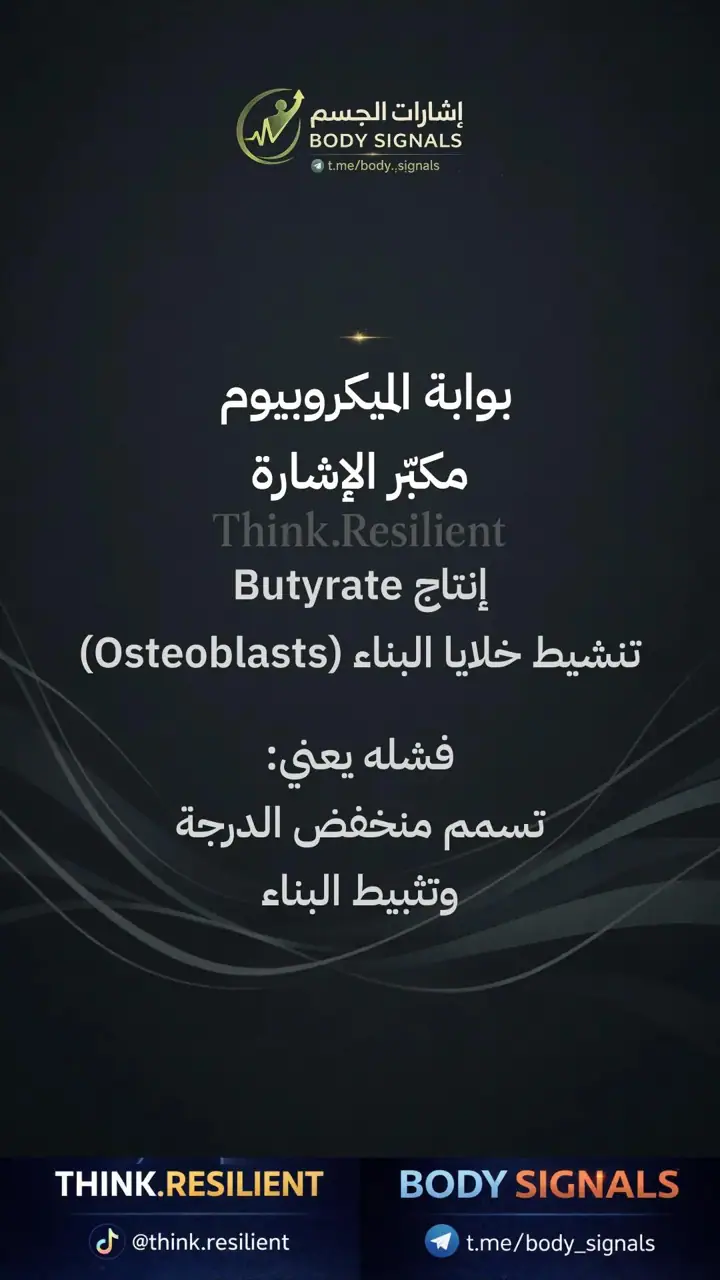 الشريحة 15 من 23: عملية الهضم لصحة العظام