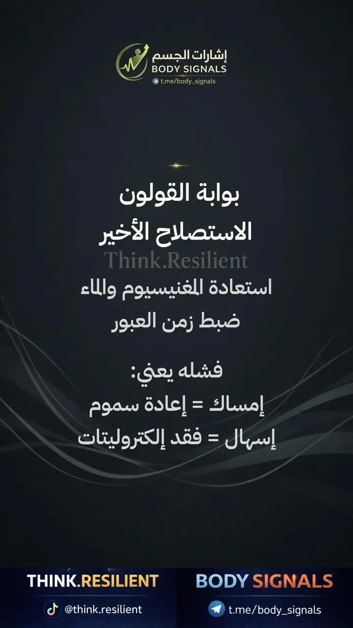 الشريحة 16 من 23: عملية الهضم لصحة العظام