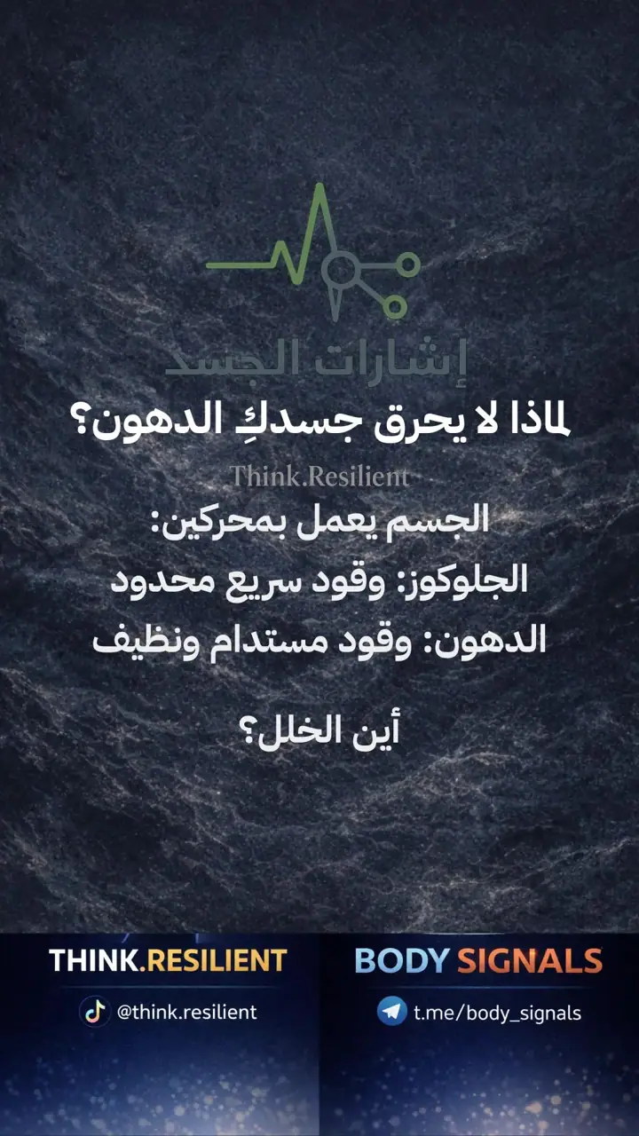 الشريحة 4 من 19: رمضان والمرونة الأيضية