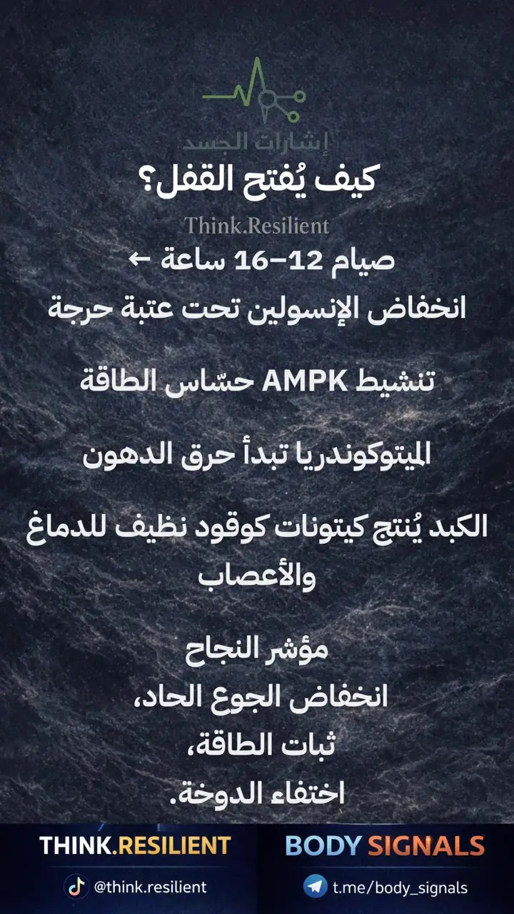 الشريحة 6 من 19: رمضان والمرونة الأيضية
