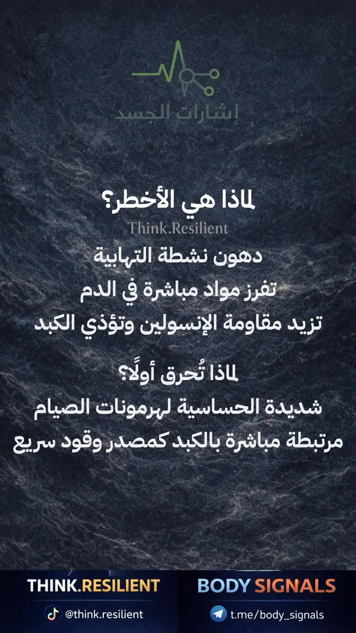 الشريحة 13 من 19: رمضان والمرونة الأيضية