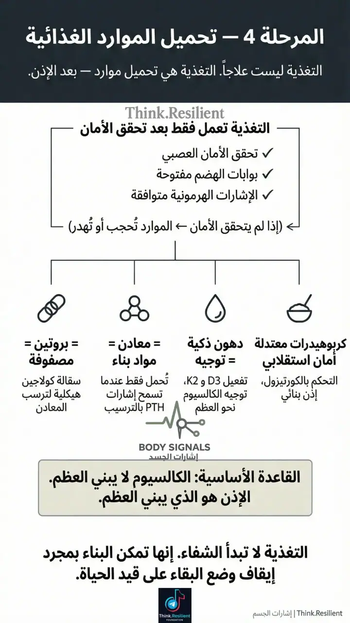الشريحة 1 من 1: المرحلة 4: تحميل الموارد الغذائية لبناء العظم