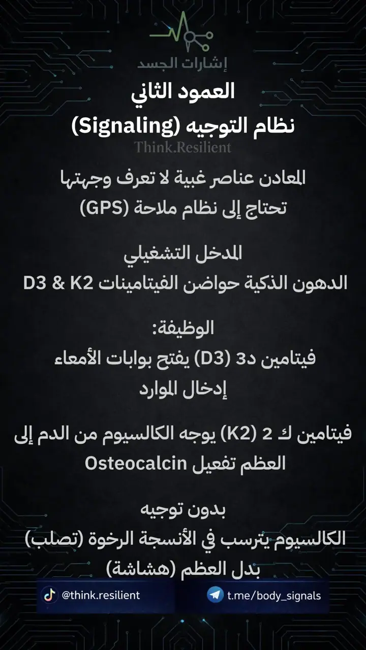 الشريحة 6 من 9: بروتوكول اغذية لهشاشة العظام