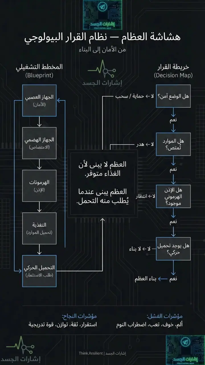 الشريحة 1 من 1: نظام اتخاذ قرارات بيولوجية لهشاشة العظام