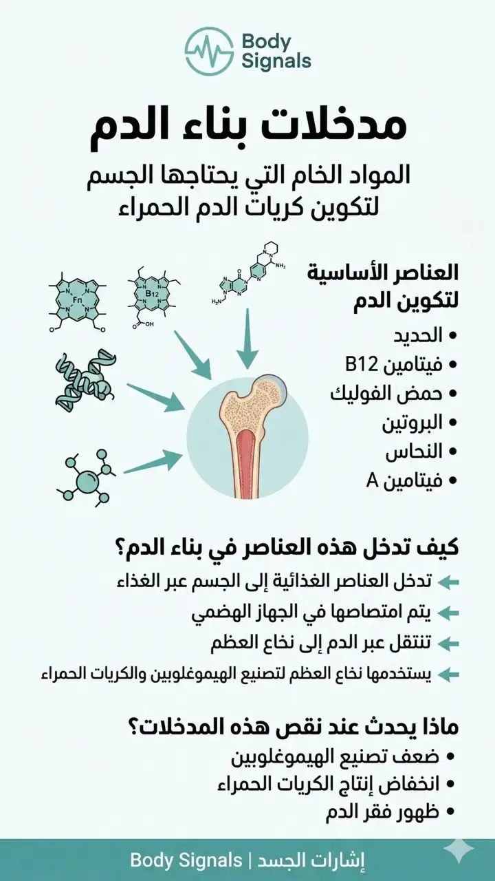 الشريحة 1 من 8: 9- فقر الدم-خريطة مفاهيمية