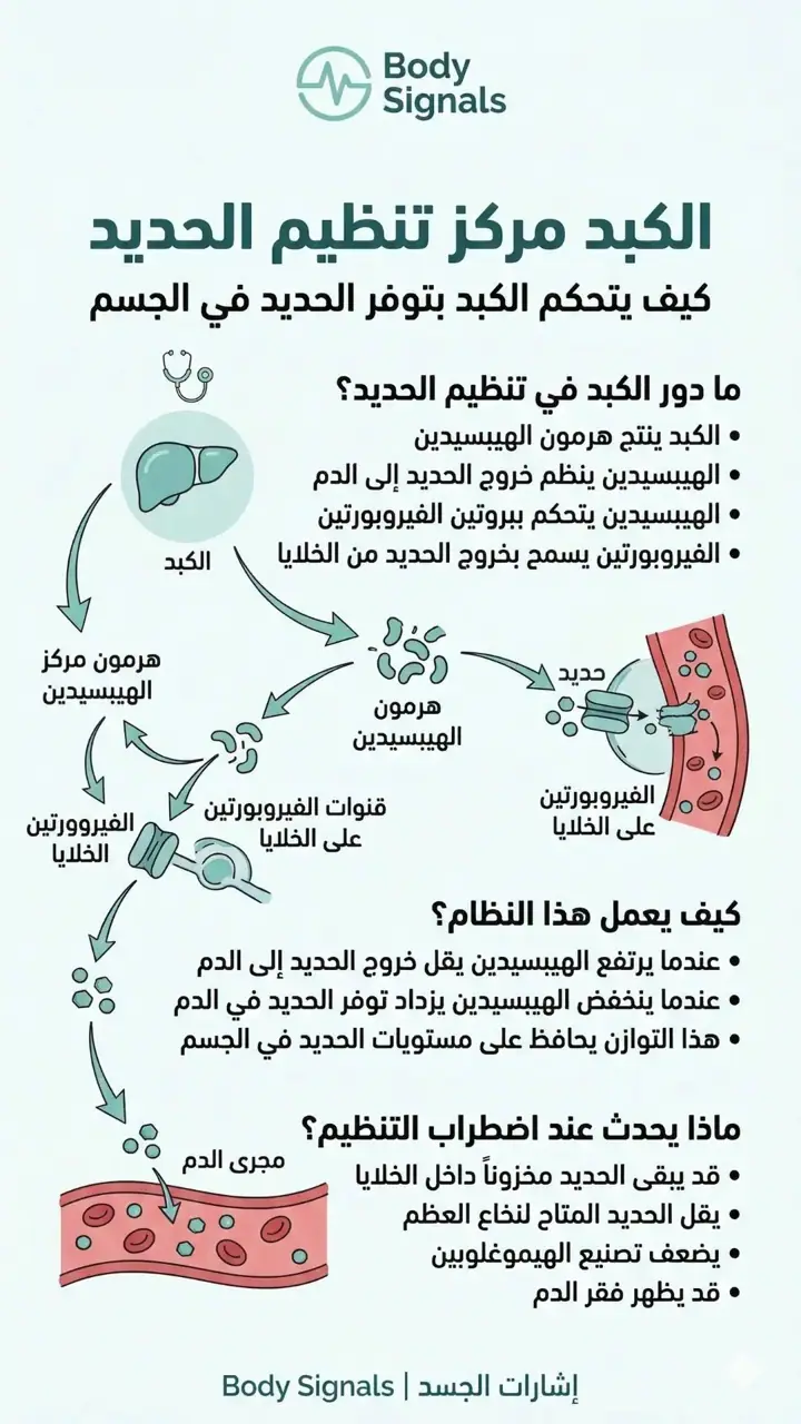 الشريحة 3 من 8: 9- فقر الدم-خريطة مفاهيمية