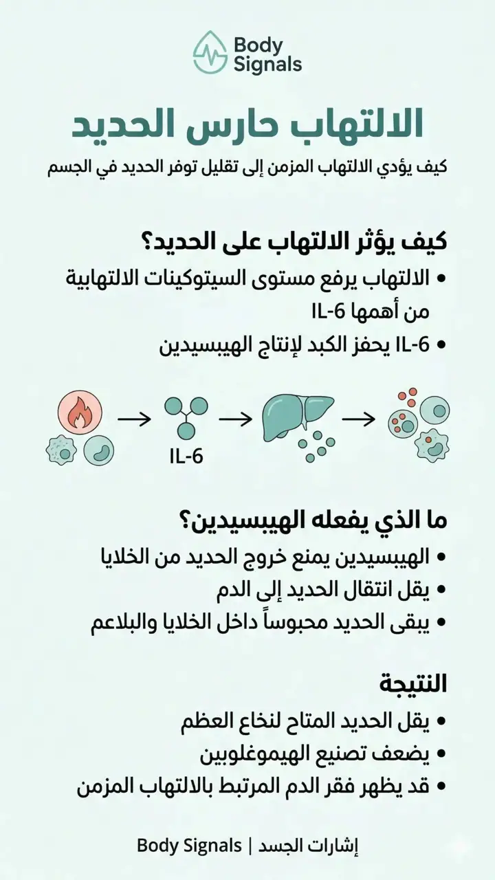 الشريحة 4 من 8: 9- فقر الدم-خريطة مفاهيمية