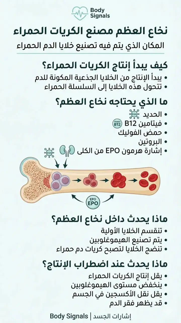 الشريحة 6 من 8: 9- فقر الدم-خريطة مفاهيمية