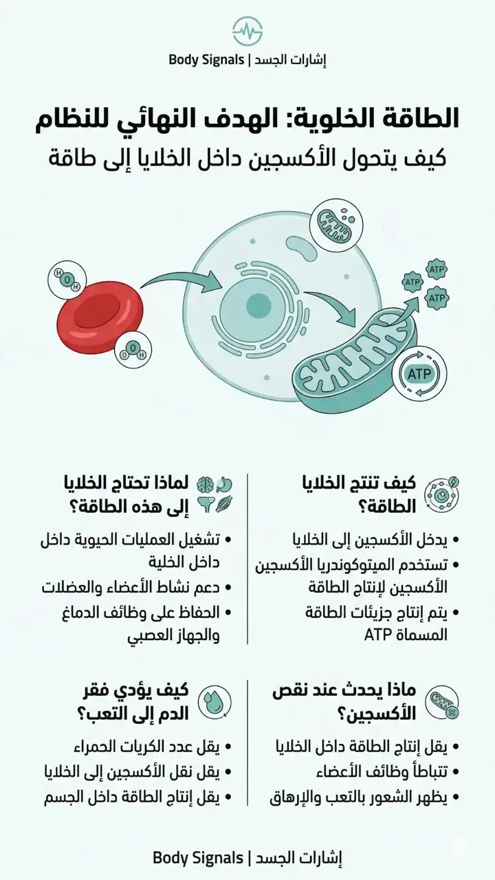 الشريحة 8 من 8: 9- فقر الدم-خريطة مفاهيمية
