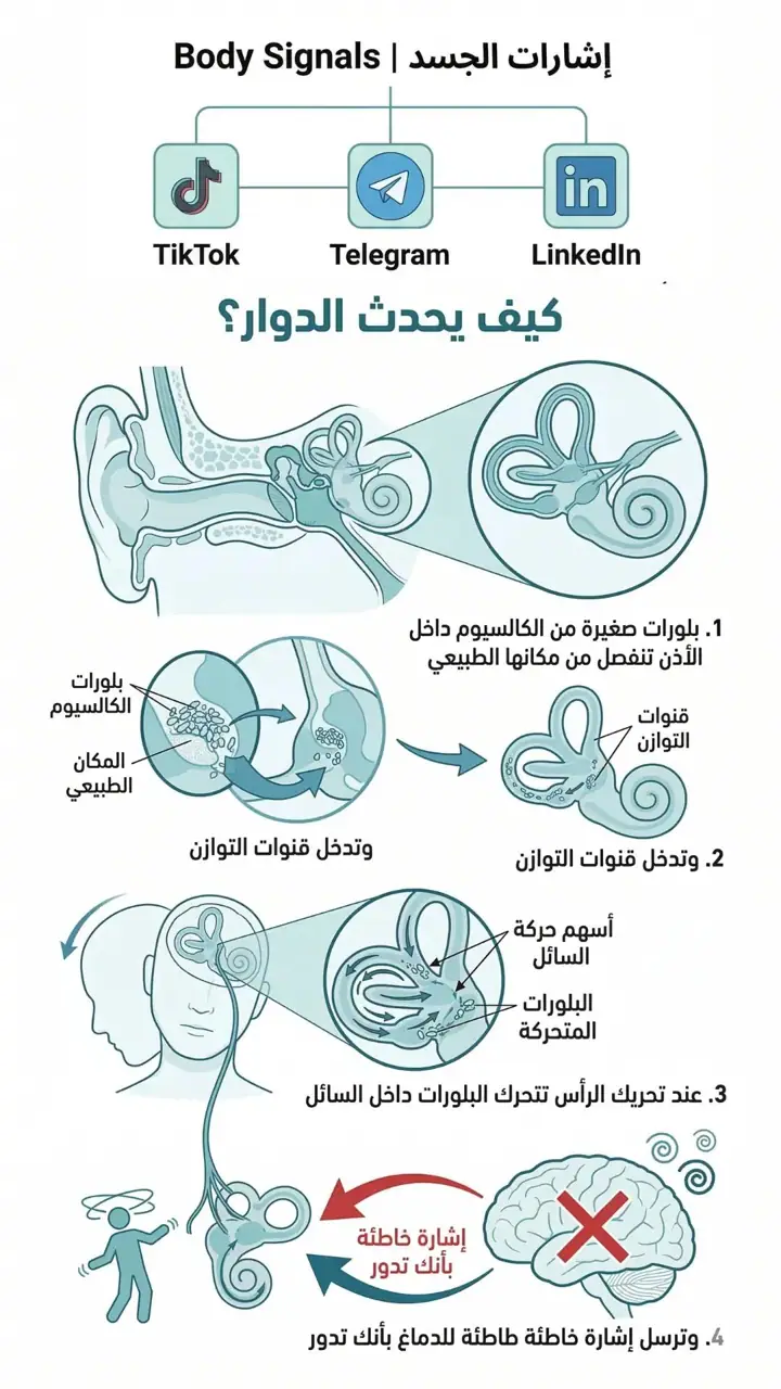 الشريحة 2 من 7: كريستالات الأذن- بروتوكول
