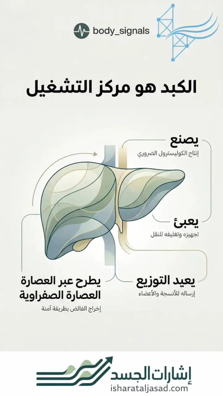 الشريحة 4 من 12: بروتوكول لارتفاع الكوليسترول عند النساء