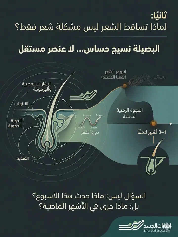 الشريحة 2 من 16: إعادة تعريف مشكلة تساقط الشعر