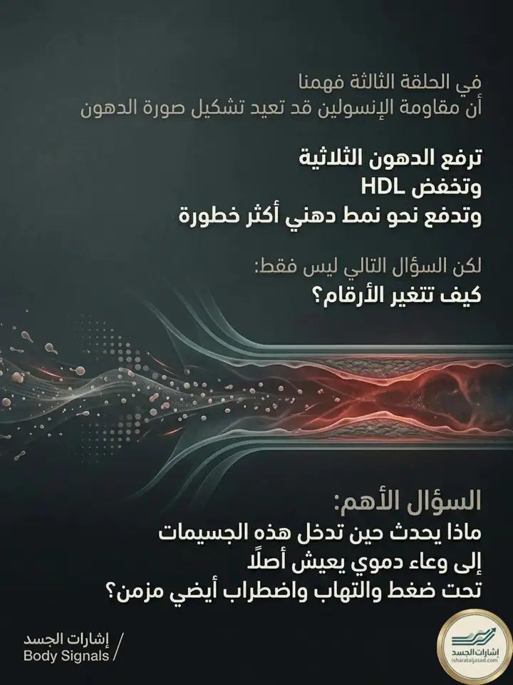 الشريحة 2 من 11: هذه الحلقة لا تقول إن كل ارتفاع في الكوليسترول يعني الخطر نفسه
