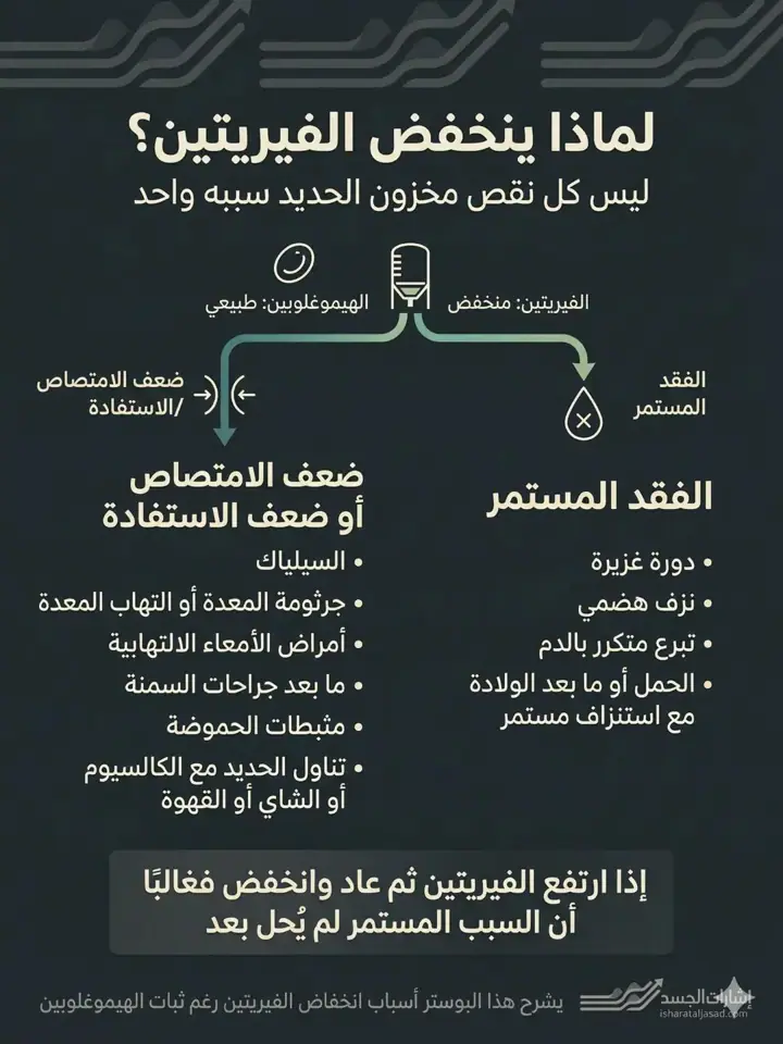 الشريحة 1 من 1: لماذا ينخفض الفيريتين؟