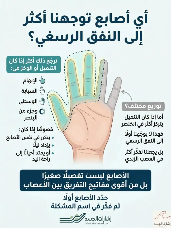 الشريحة 3 من 8: إبهام - تنميل ليلي - خنصر - بعد سقوط