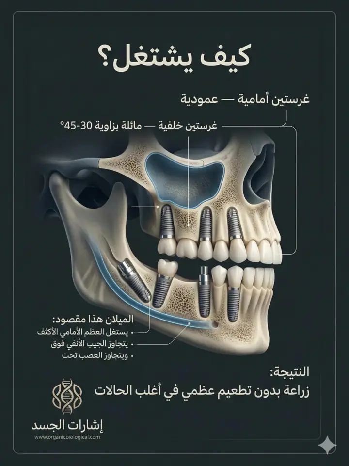 الشريحة 4 من 14: نظام المضغ بالكامل