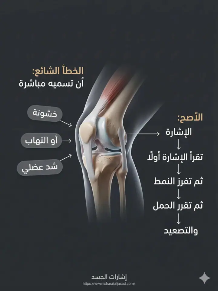 الشريحة 2 من 20: ألم ما تحت الركبة