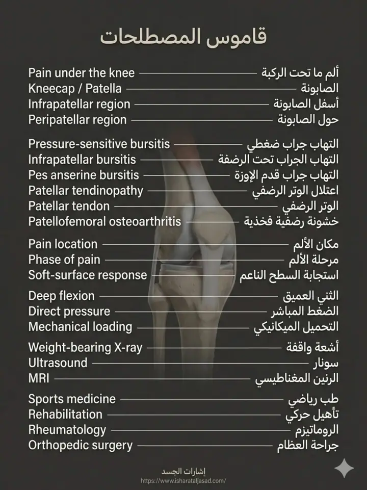 الشريحة 20 من 20: ألم ما تحت الركبة