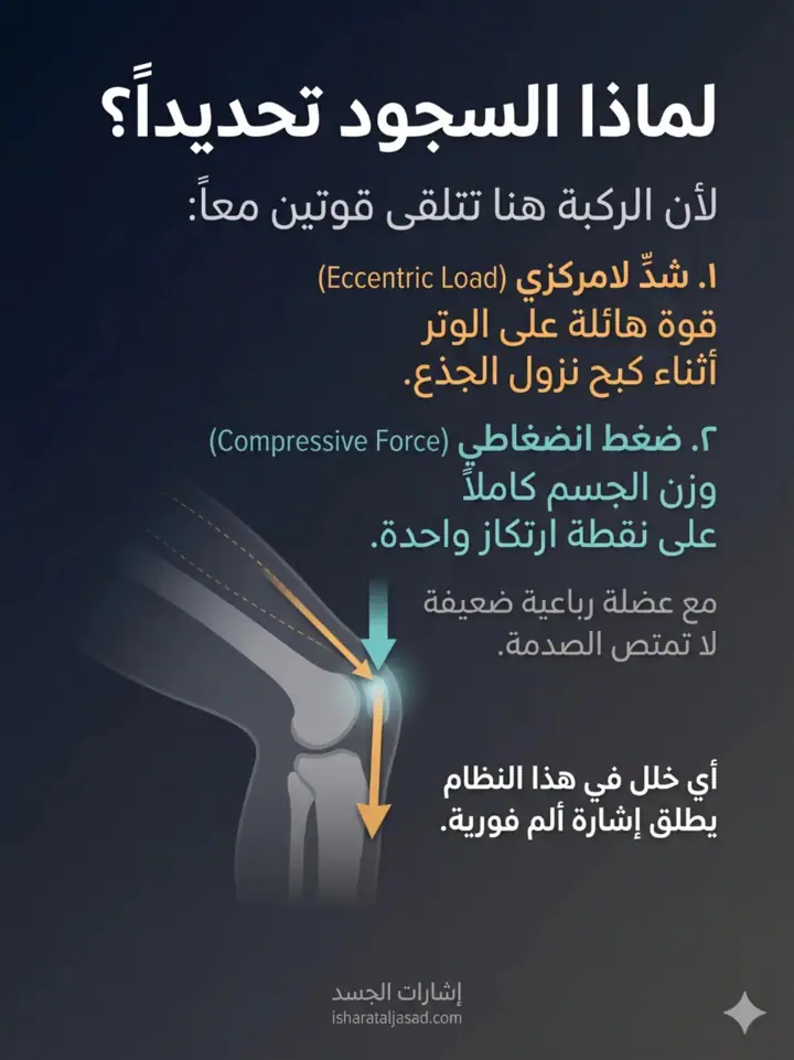 الشريحة 3 من 27: ألم ما تحت الركبة