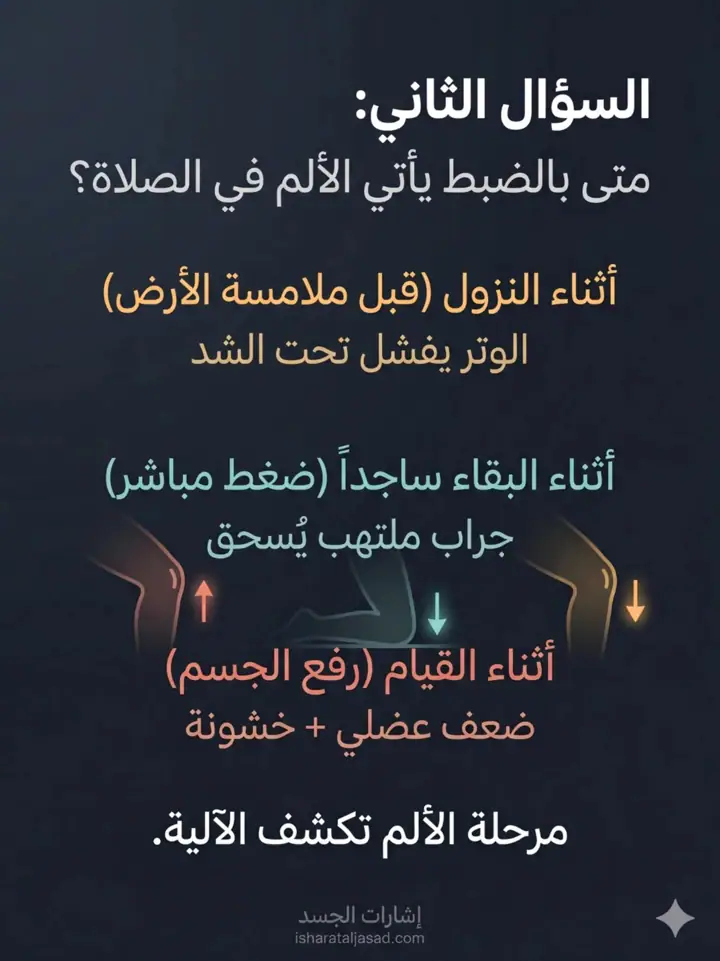 الشريحة 6 من 27: ألم ما تحت الركبة