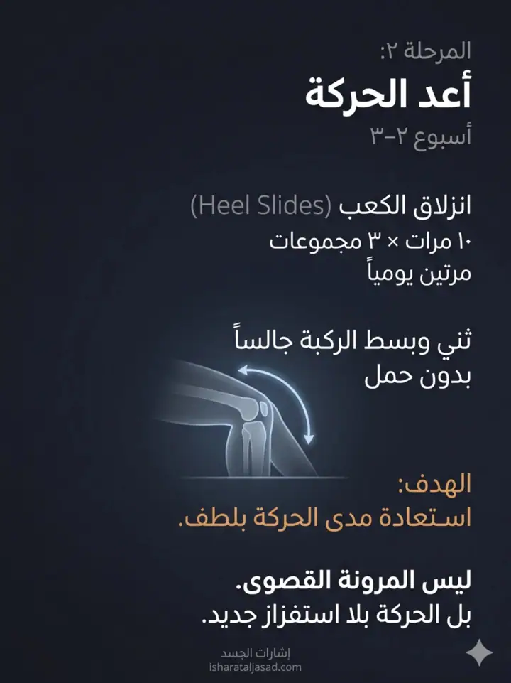 الشريحة 14 من 27: ألم ما تحت الركبة