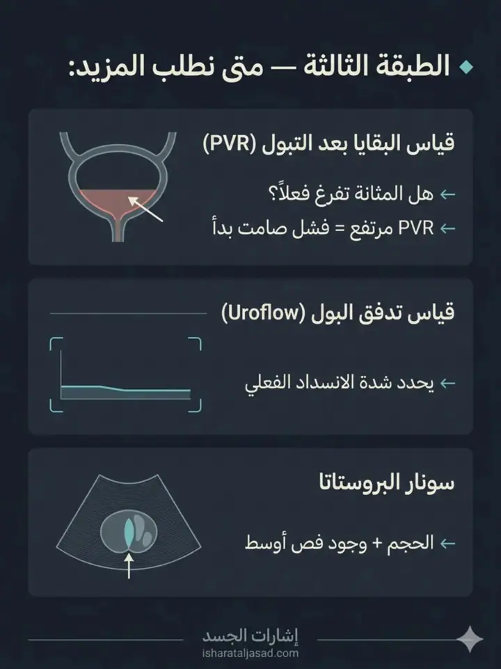 الشريحة 8 من 22: البروستاتا: من الإشارات إلى لحظة التدخل