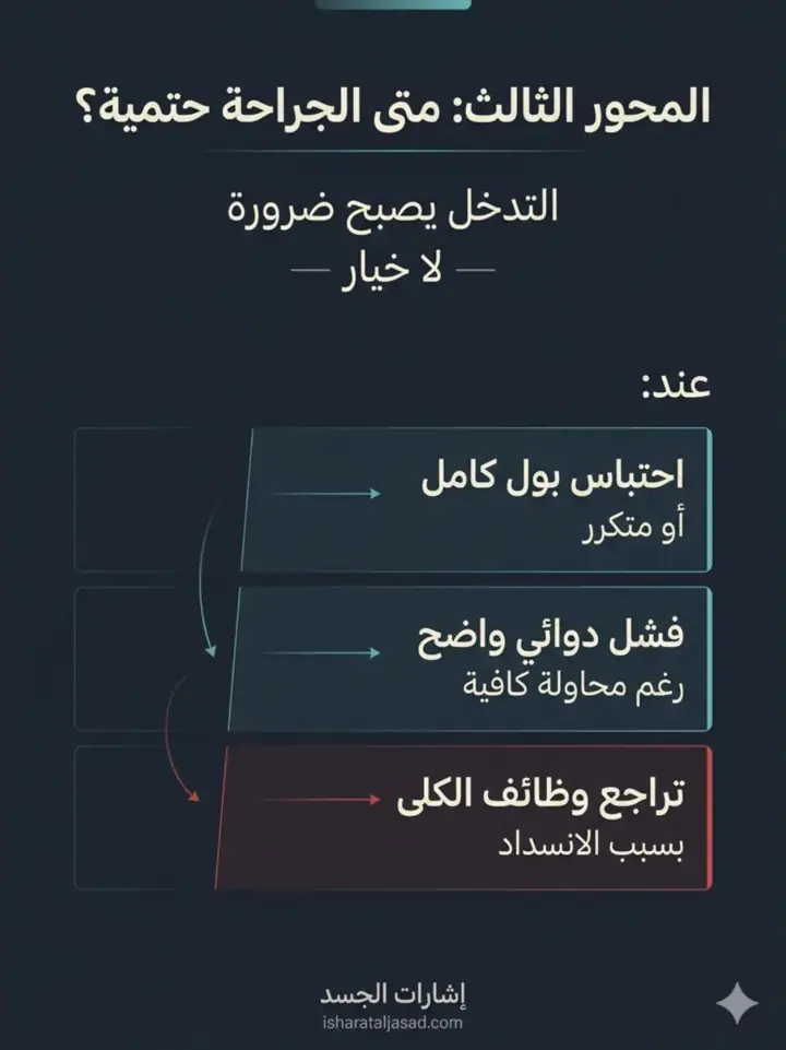 الشريحة 12 من 22: البروستاتا: من الإشارات إلى لحظة التدخل