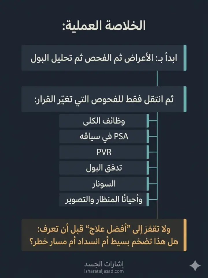 الشريحة 17 من 22: البروستاتا: من الإشارات إلى لحظة التدخل